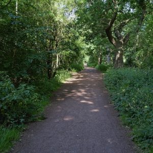 Sherwood Pines dog walk