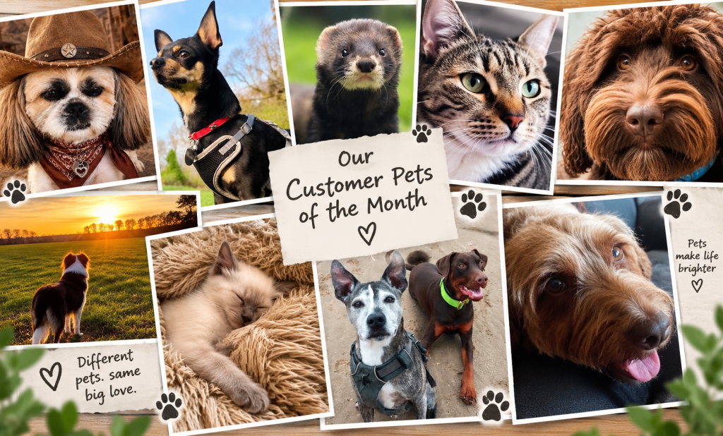 Customer Pets of the Month