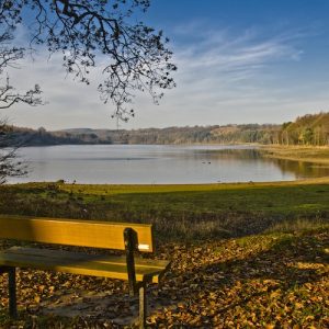 Swinsty Reservoir dog walk