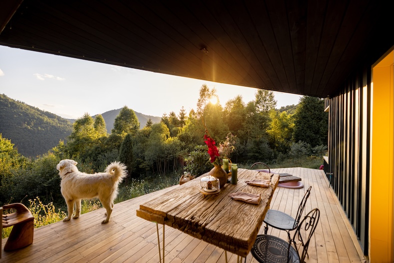 things to do with your pet cabin trip