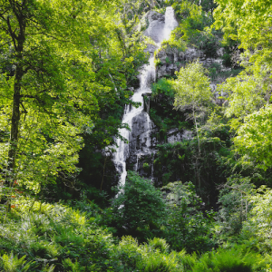 pet-friendly days out Canonteign Falls, Devon