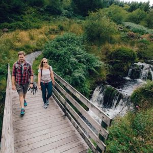 pet-friendly days out Hafren Forest, Powys