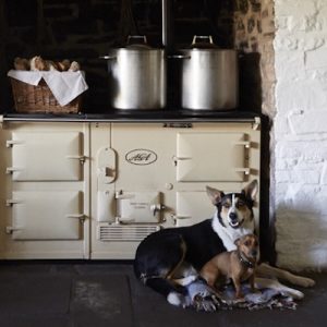dog friendly pub The Felin Fach