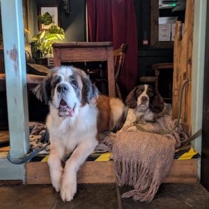 dog friendly pub The Foresters Arms