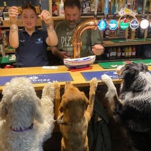 dog friendly pub The Green Dragon