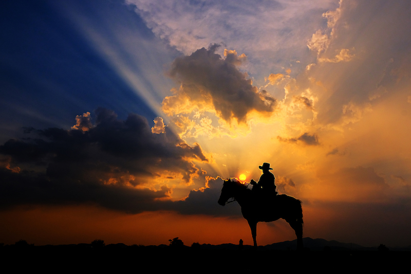 photography competitions cowboy sunset