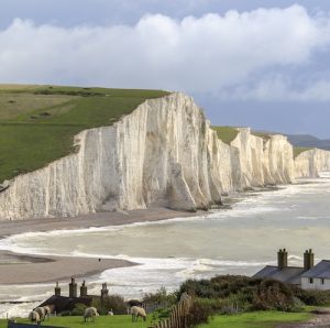 seven sisters dog walk