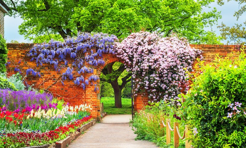 garden photography tips