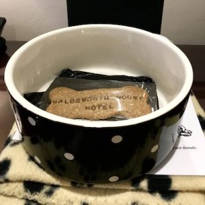 dog bowl at holdsworth house