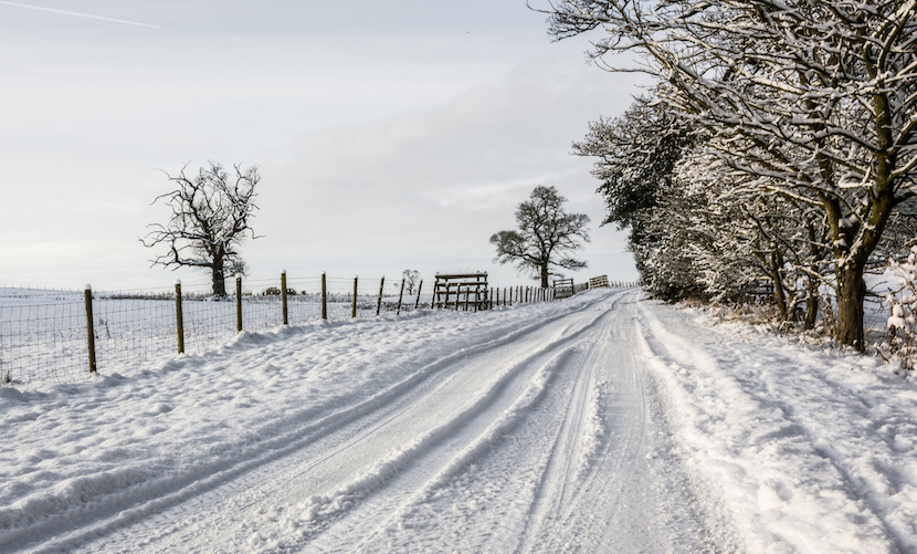 Top tips for the best snowy photography this winter