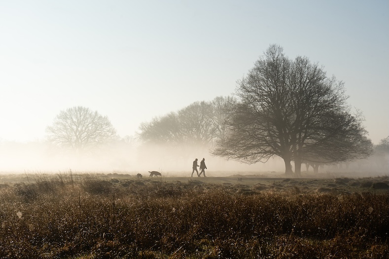 September photography tips mist