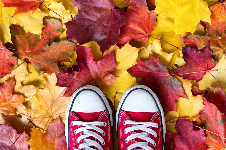 September photography tips autumn leaves