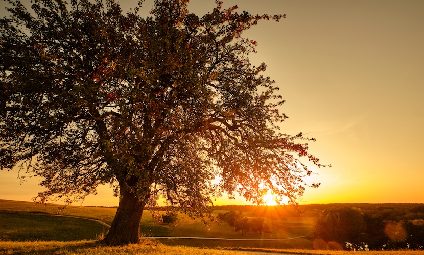 September photography tips sunset