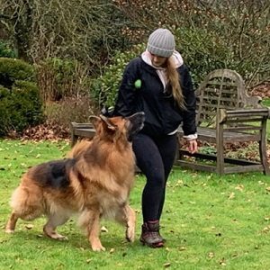 dog training at trigony hotel